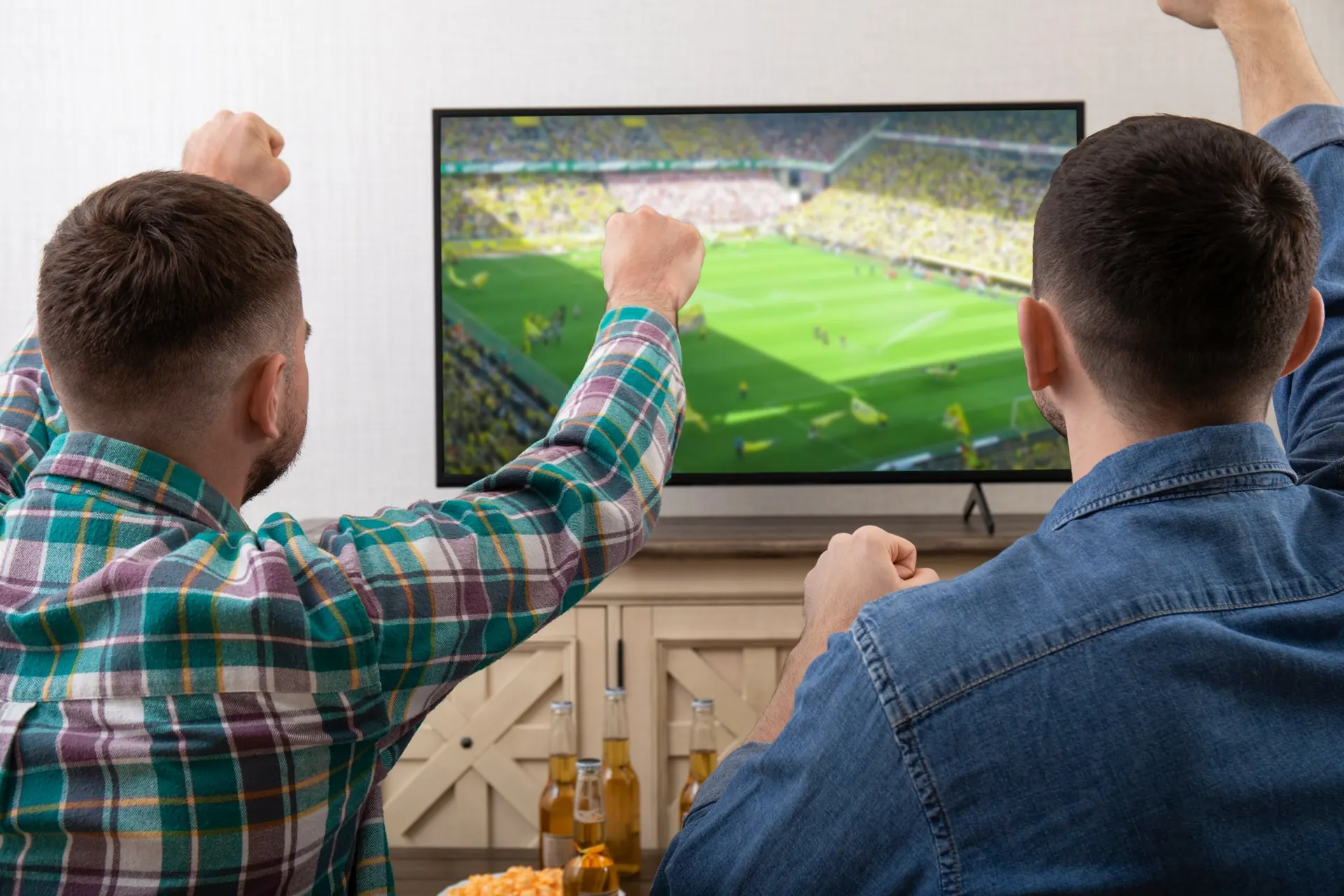 Fans watching a game at home