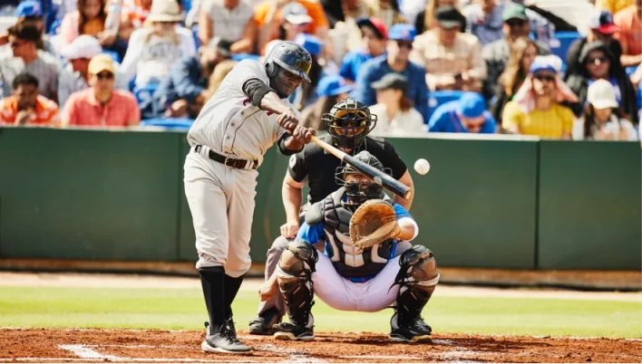 Baseball batter at the plate in a packed stadium