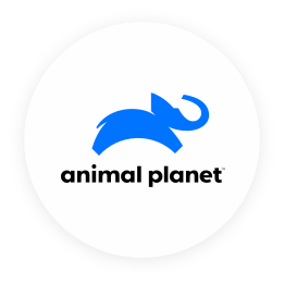 Channel_Icon_AnimalPlanet