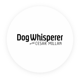 Channel_Icon_DogWhisperer